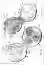 Fig. 02 - Flower-shaped waffles and cooking assembly