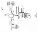 Fig. 08 - Pulsed mass flow delivery system and method