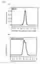 Fig. 02 - Process for producing liquid crystal of desired properties by mixing together at least two rigid rodlike helical polymers with narrow molecular weight distributions and different weight-average molecular weights with chiral side chains