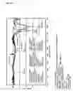 Fig. 24 - Light emitting apparatus and method for manufacturing the same