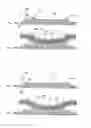 Fig. 30 - Light emitting apparatus and method for manufacturing the same