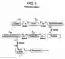 Fig. 02 - Modular fiber-based chirped pulse amplification system