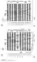 Fig. 07 - Optoelectronic device based on an antiwaveguiding cavity