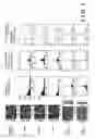 Fig. 02 - Image transmitter, image receiver, and image transmitting system