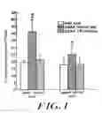 Fig. 02 - Use of creatine or creatine compounds for skin preservation