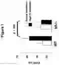 Fig. 02 - Methods and compositions for treating and preventing diseases associated with alphavbeta5 integrin
