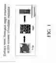 Fig. 02 - Methods and compositions related to inhibiting nuclear envelope breakdown
