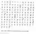 Fig. 02 - Sequences from 