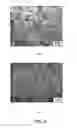 Fig. 07 - Fibrous composite for tissue engineering