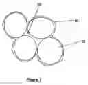 Fig. 02 - Process for treating edible plant structures and product thereof
