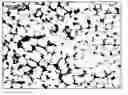 Fig. 01 - Composite membrane for fuel cell and fuel cells incorporating said membranes