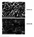Fig. 06 - Composite membrane for fuel cell and fuel cells incorporating said membranes