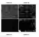 Fig. 09 - Composite membrane for fuel cell and fuel cells incorporating said membranes