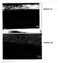 Fig. 10 - Composite membrane for fuel cell and fuel cells incorporating said membranes
