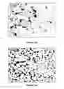Fig. 11 - Composite membrane for fuel cell and fuel cells incorporating said membranes