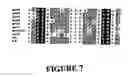 Fig. 08 - Quorum sensing signaling in bacteria