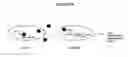 Fig. 09 - Quorum sensing signaling in bacteria