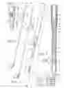 Fig. 02 - Extendable golf club having interlockable spacer segments