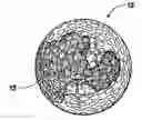 Fig. 01 - Golf ball with water immersion indicator