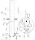 Fig. 24 - Bend and stretch abdominal and lower back exercise machine