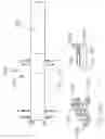 Fig. 33 - Bend and stretch abdominal and lower back exercise machine