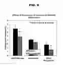 Fig. 09 - Neuroprotective dietary supplement