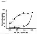 Fig. 02 - Combinational therapy involving a small molecule inhibitor of the MDM2: p53 interaction