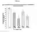 Fig. 02 - 2-Pyrrolidinone derivatives substituted at position 4 for reducing the extracellular glutamate level