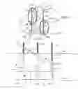 Fig. 02 - Instruments and methods for minimally invasive spine surgery