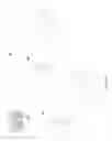 Fig. 02 - Network car analyzer