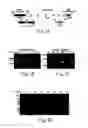 Fig. 02 - Transgenic mammal secreting B-domain deleted human FVII in its milk