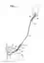 Fig. 02 - Elastic dog leash and coupler