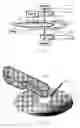 Fig. 02 - Brush positioning device for a wafer cleaning station