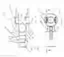 Fig. 07 - System and method for termination of a wire rope
