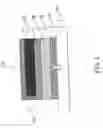 Fig. 02 - Organic electroluminescence device having transparent control layer with low ambient reflection and enhanced contrast