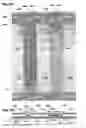 Fig. 07 - Light-emitting device