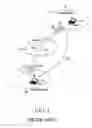 Fig. 02 - System and method for recovering a damaged routing path in a mobile network