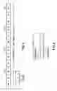 Fig. 07 - Received signal quality determination