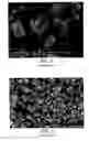 Fig. 02 - Process for preparing oral calcium compositions
