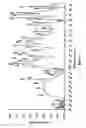 Fig. 04 - Hydrophilic dispersions of nanoparticles of inclusion complexes of salicylic acid