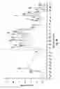 Fig. 07 - Hydrophilic dispersions of nanoparticles of inclusion complexes of salicylic acid