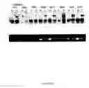 Fig. 35 - Methods and compositions for categorizing patients