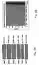Fig. 09 - Methods and compositions for peptide and protein labeling