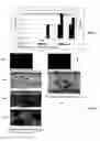 Fig. 06 - Materials and methods to produce stem cells