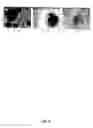 Fig. 09 - Materials and methods to produce stem cells