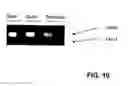 Fig. 11 - Materials and methods to produce stem cells