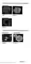Fig. 20 - Materials and methods to produce stem cells