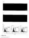 Fig. 32 - Materials and methods to produce stem cells