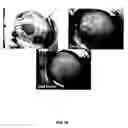 Fig. 40 - Materials and methods to produce stem cells