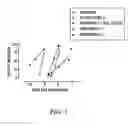 Fig. 02 - Histogranin-like peptides, processes for their preparation and uses thereof